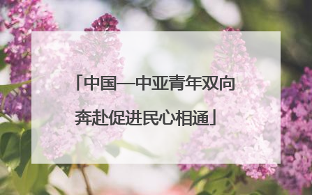 中国—中亚青年双向奔赴促进民心相通