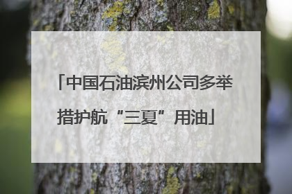 中国石油滨州公司多举措护航“三夏”用油
