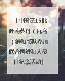 中国第15批赴南苏丹（瓦乌）维和部队参加联合国维和人员日纪念活动