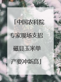 中国农科院专家现场支招 磁县玉米单产要冲新高