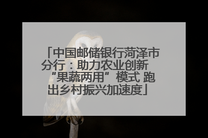 中国邮储银行菏泽市分行：助力农业创新 “果蔬两用”模式 跑出乡村振兴加速度