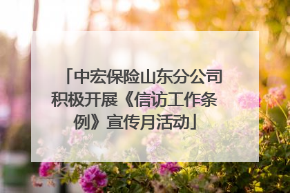 中宏保险山东分公司积极开展《信访工作条例》宣传月活动