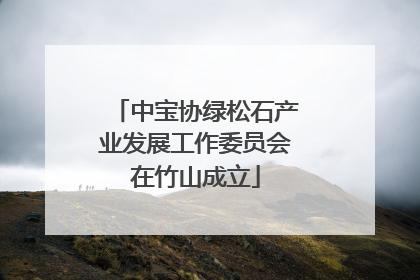 中宝协绿松石产业发展工作委员会在竹山成立