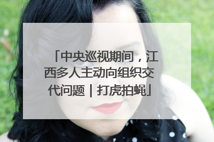 中央巡视期间，江西多人主动向组织交代问题｜打虎拍蝇