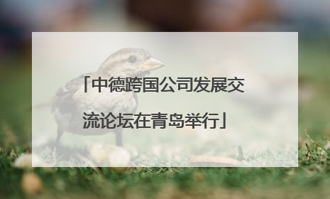 中德跨国公司发展交流论坛在青岛举行