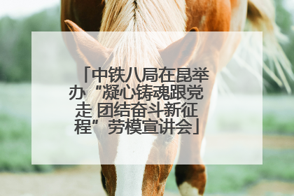 中铁八局在昆举办“凝心铸魂跟党走 团结奋斗新征程”劳模宣讲会