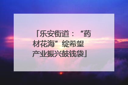 乐安街道：“药材花海”绽希望 产业振兴鼓钱袋