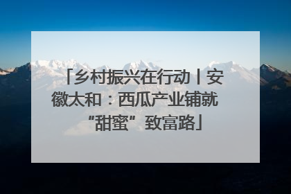 乡村振兴在行动丨安徽太和：西瓜产业铺就“甜蜜”致富路