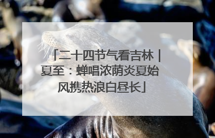 二十四节气看吉林｜夏至：蝉唱浓荫炎夏始 风携热浪白昼长