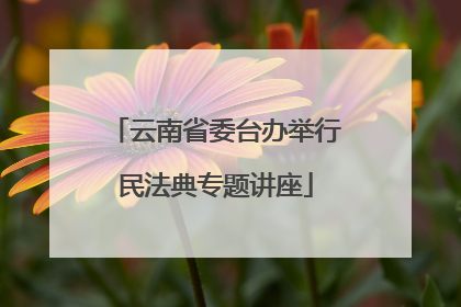 云南省委台办举行民法典专题讲座