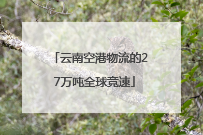 云南空港物流的27万吨全球竞速