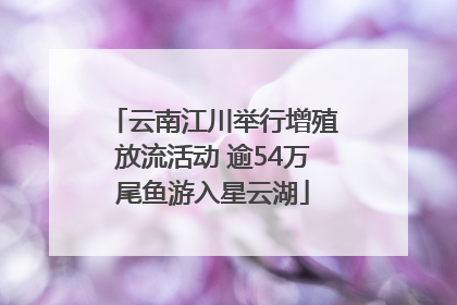 云南江川举行增殖放流活动 逾54万尾鱼游入星云湖