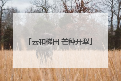 云和梯田 芒种开犁