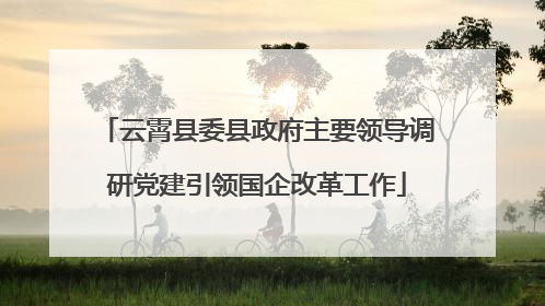 云霄县委县政府主要领导调研党建引领国企改革工作