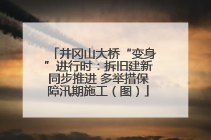 井冈山大桥“变身”进行时：拆旧建新同步推进 多举措保障汛期施工（图）