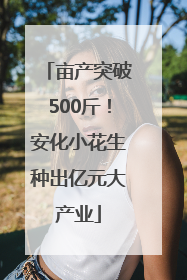 亩产突破500斤！安化小花生种出亿元大产业