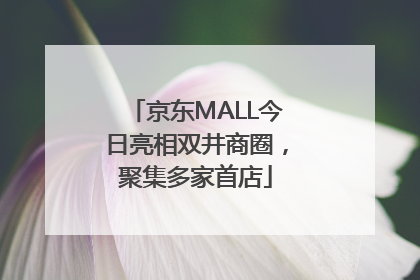 京东MALL今日亮相双井商圈，聚集多家首店