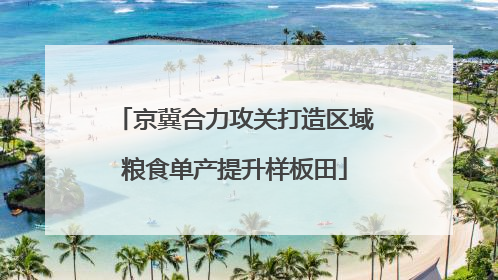 京冀合力攻关打造区域粮食单产提升样板田