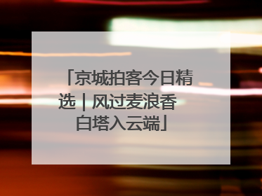 京城拍客今日精选｜风过麦浪香 白塔入云端