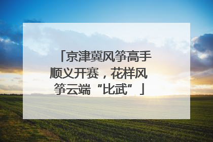 京津冀风筝高手顺义开赛，花样风筝云端“比武”