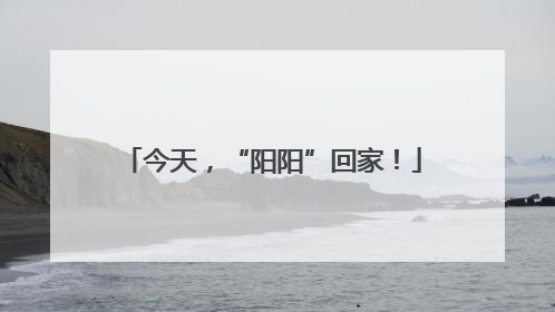 今天，“阳阳”回家！