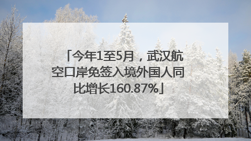 今年1至5月，武汉航空口岸免签入境外国人同比增长160.87%