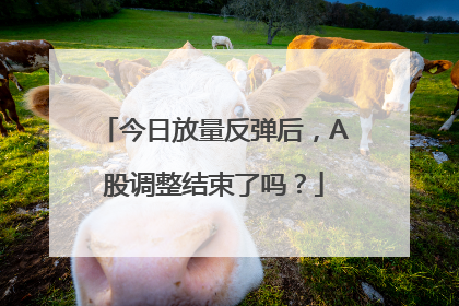 今日放量反弹后，A股调整结束了吗？