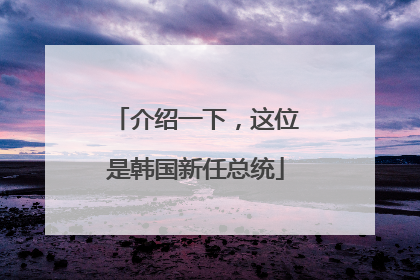 介绍一下，这位是韩国新任总统