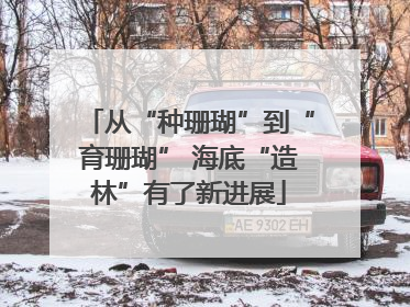 从“种珊瑚”到“育珊瑚” 海底“造林”有了新进展