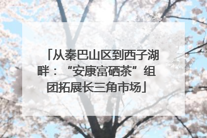 从秦巴山区到西子湖畔：“安康富硒茶”组团拓展长三角市场