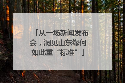 从一场新闻发布会，洞见山东缘何如此重“标准”