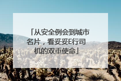 从安全例会到城市名片，看妥妥E行司机的双重使命