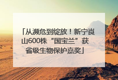 从濒危到绽放！新宁崀山600株“国宝兰”获省级生物保护嘉奖