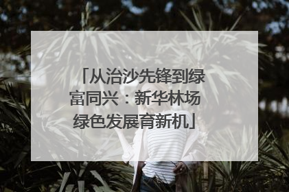 从治沙先锋到绿富同兴：新华林场绿色发展育新机