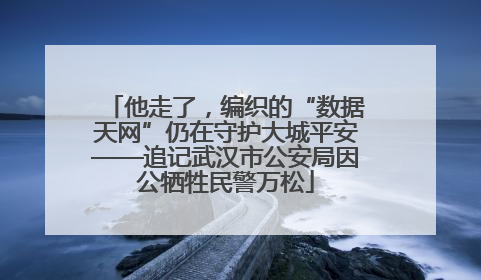 他走了，编织的“数据天网”仍在守护大城平安——追记武汉市公安局因公牺牲民警万松