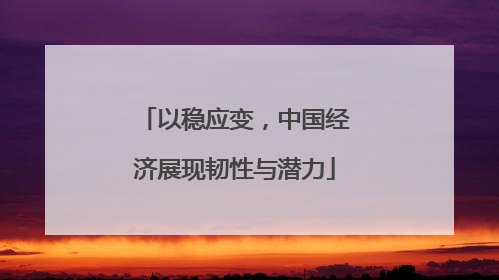 以稳应变，中国经济展现韧性与潜力