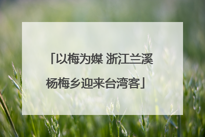 以梅为媒 浙江兰溪杨梅乡迎来台湾客