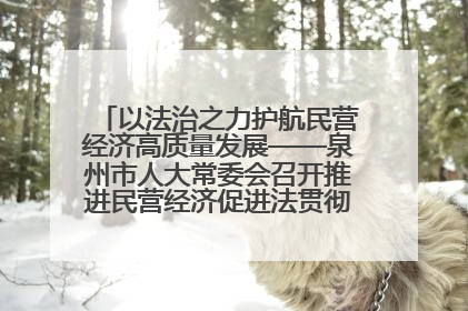 以法治之力护航民营经济高质量发展——泉州市人大常委会召开推进民营经济促进法贯彻实施座谈会