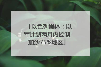 以色列媒体：以军计划两月内控制加沙75%地区