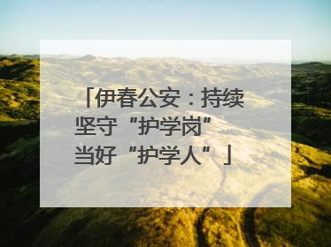 伊春公安：持续坚守“护学岗” 当好“护学人”