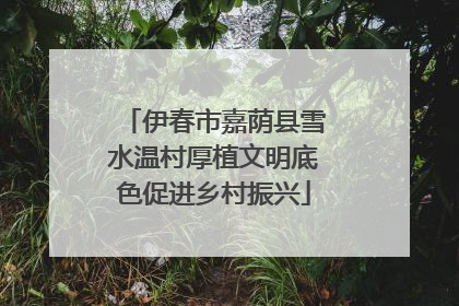 伊春市嘉荫县雪水温村厚植文明底色促进乡村振兴