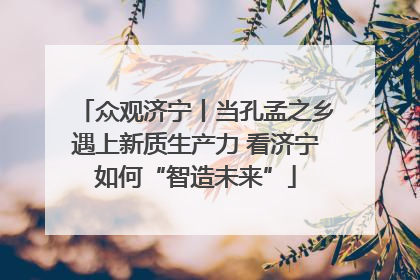 众观济宁丨当孔孟之乡遇上新质生产力 看济宁如何“智造未来”