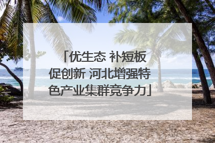 优生态 补短板 促创新 河北增强特色产业集群竞争力