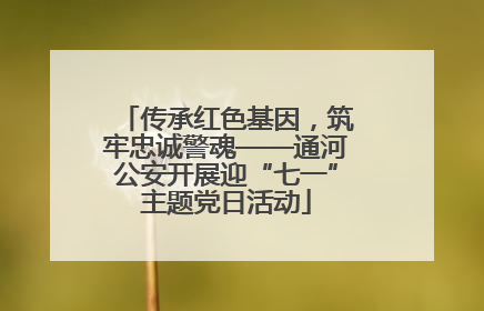 传承红色基因，筑牢忠诚警魂——通河公安开展迎“七一”主题党日活动