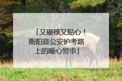 又硬核又贴心！衡阳县公安护考路上的暖心警事