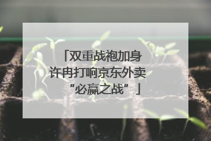 双重战袍加身 许冉打响京东外卖“必赢之战”