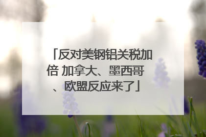 反对美钢铝关税加倍 加拿大、墨西哥、欧盟反应来了