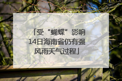 受“蝴蝶”影响 14日海南省仍有强风雨天气过程