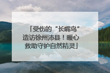 受伤的“长嘴鸟”造访徐州沛县！暖心救助守护自然精灵