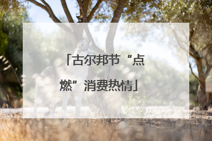 古尔邦节“点燃”消费热情